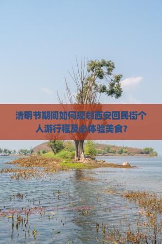 清明节期间如何规划西安回民街个人游行程及必体验美食？