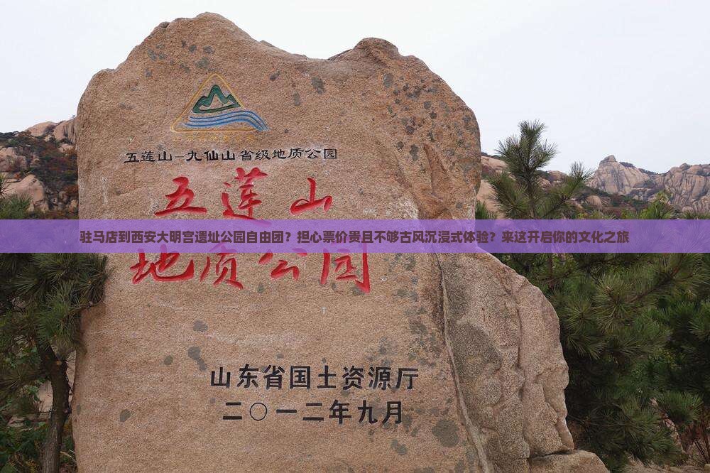 驻马店到西安大明宫遗址公园自由团？担心票价贵且不够古风沉浸式体验？来这开启你的文化之旅