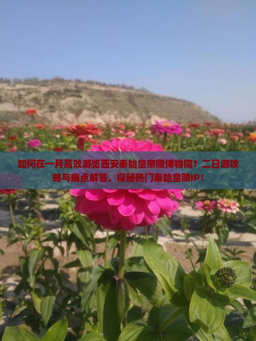 如何在一月高效游览西安秦始皇帝陵博物院？二日游攻略与痛点解答，探秘热门秦始皇陵IP！