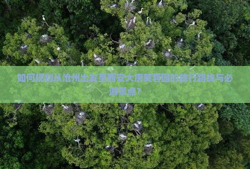 如何规划从沧州出发至西安大唐芙蓉园的旅行路线与必游景点？