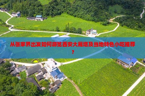 从张家界出发如何游览西安大雁塔及当地特色小吃推荐？