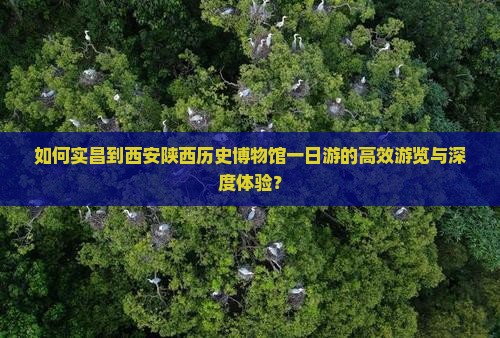 如何实昌到西安陕西历史博物馆一日游的高效游览与深度体验？