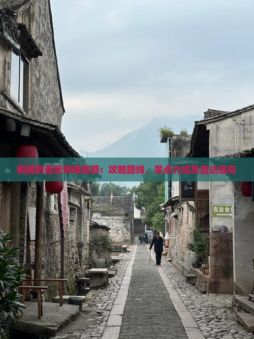 桐城到西安钟楼旅游：攻略路线、景点介绍及直达信息
