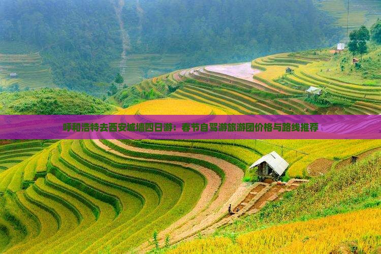 呼和浩特去西安城墙四日游：春节自驾游旅游团价格与路线推荐