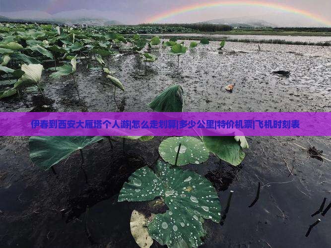 伊春到西安大雁塔个人游|怎么走划算|多少公里|特价机票|飞机时刻表