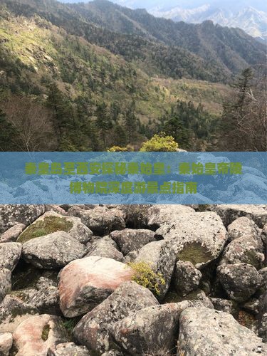 秦皇岛至西安探秘秦始皇：秦始皇帝陵博物院深度游景点指南