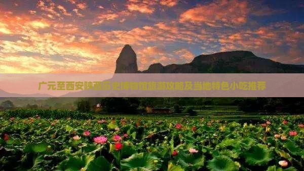 广元至西安陕西历史博物馆旅游攻略及当地特色小吃推荐