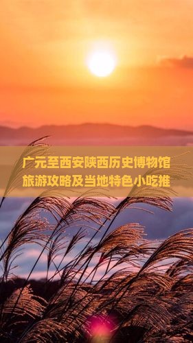 广元至西安陕西历史博物馆旅游攻略及当地特色小吃推荐