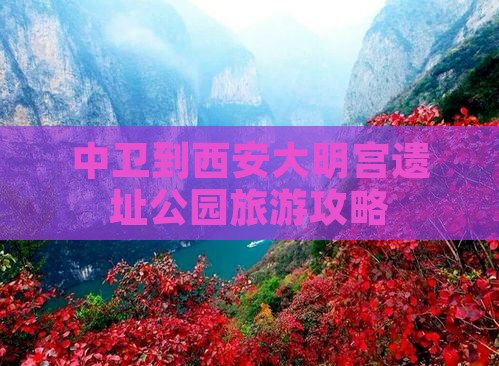 中卫到西安大明宫遗址公园旅游攻略