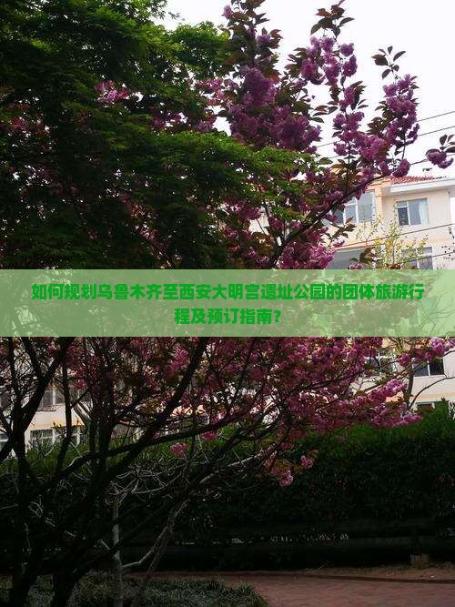 如何规划乌鲁木齐至西安大明宫遗址公园的团体旅游行程及预订指南？