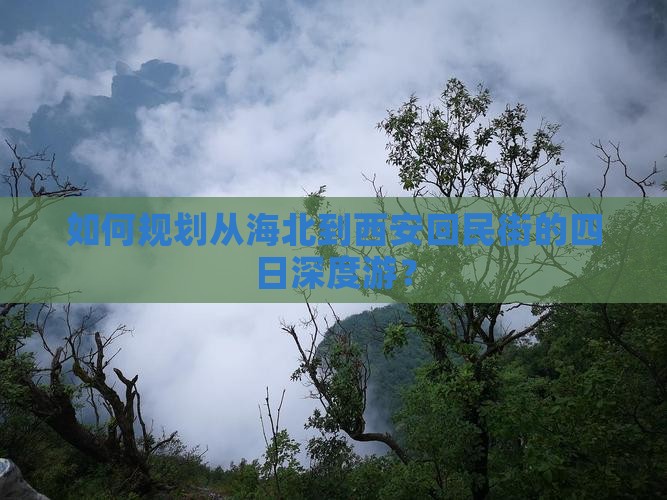 如何规划从海北到西安回民街的四日深度游？