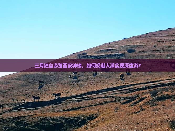 三月独自游览西安钟楼，如何规避人潮实现深度游？