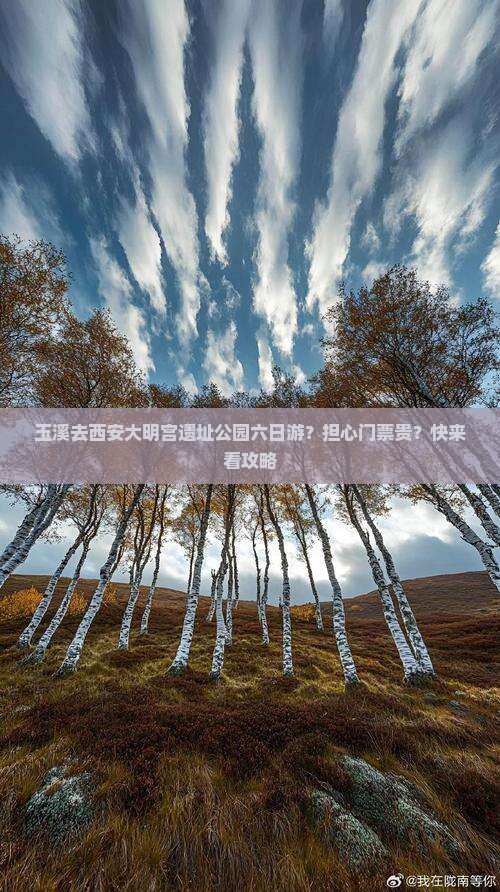 玉溪去西安大明宫遗址公园六日游？担心门票贵？快来看攻略