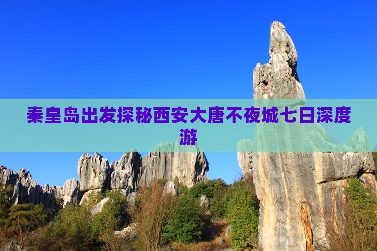 秦皇岛出发探秘西安大唐不夜城七日深度游