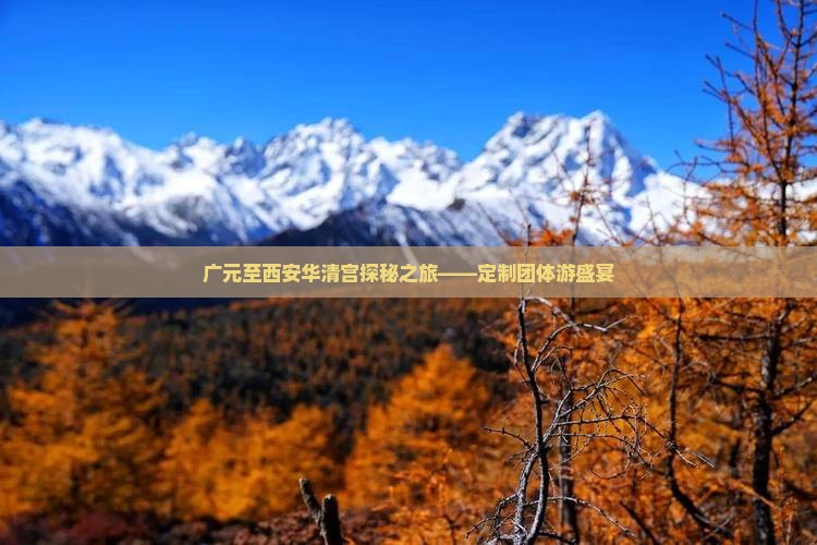 广元至西安华清宫探秘之旅——定制团体游盛宴