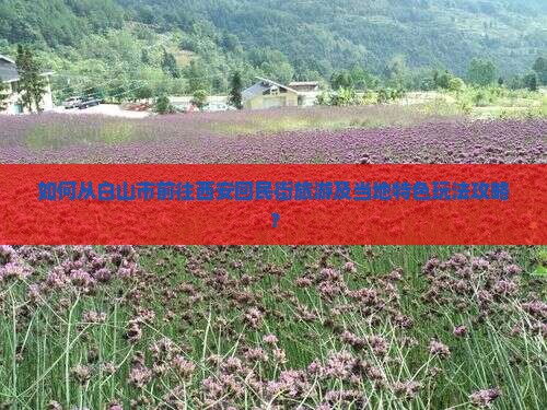 如何从白山市前往西安回民街旅游及当地特色玩法攻略？