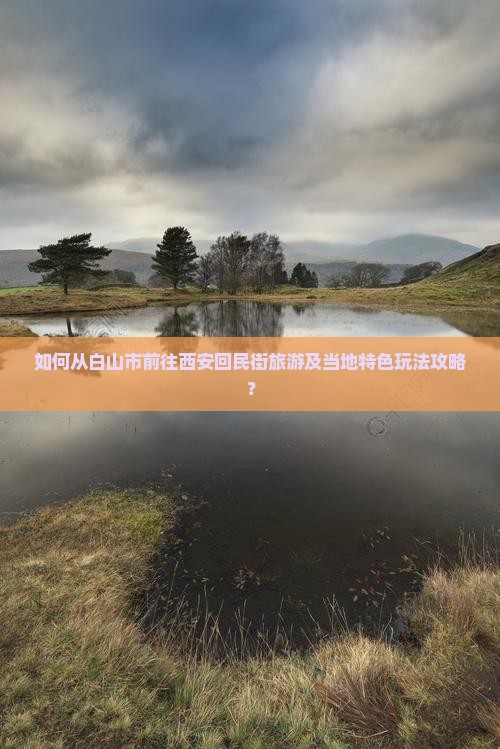 如何从白山市前往西安回民街旅游及当地特色玩法攻略？