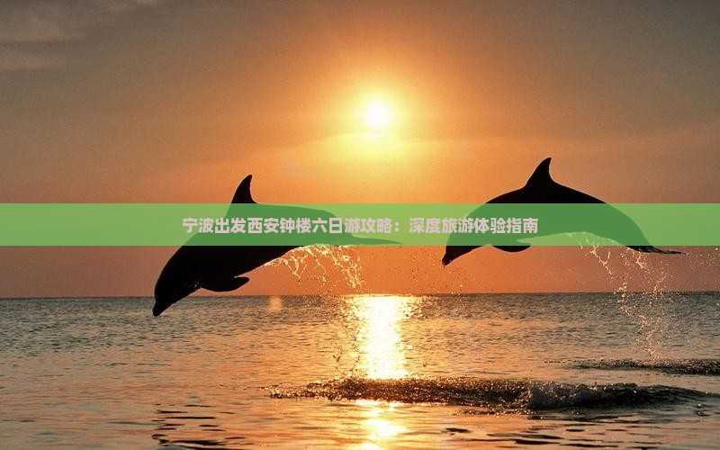 宁波出发西安钟楼六日游攻略：深度旅游体验指南