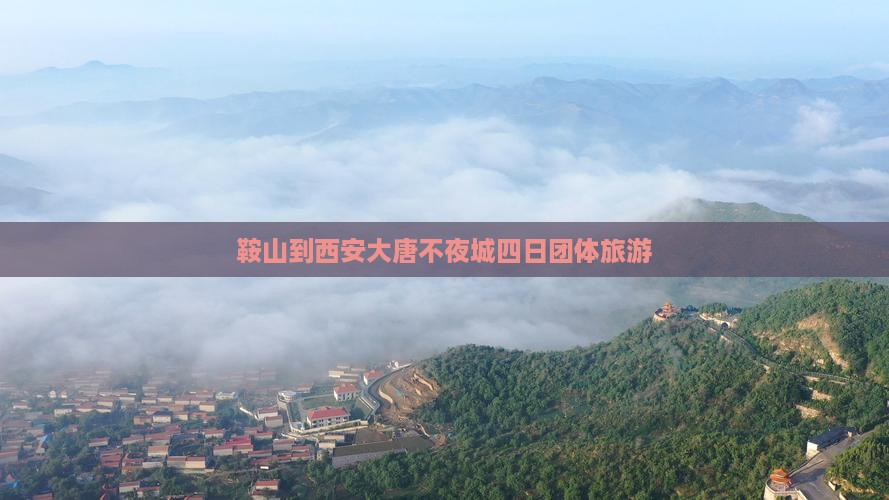 鞍山到西安大唐不夜城四日团体旅游