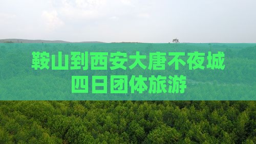 鞍山到西安大唐不夜城四日团体旅游