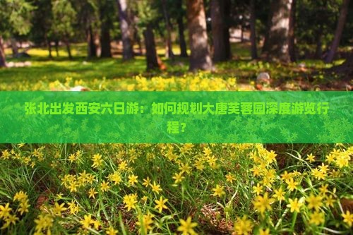 张北出发西安六日游：如何规划大唐芙蓉园深度游览行程？