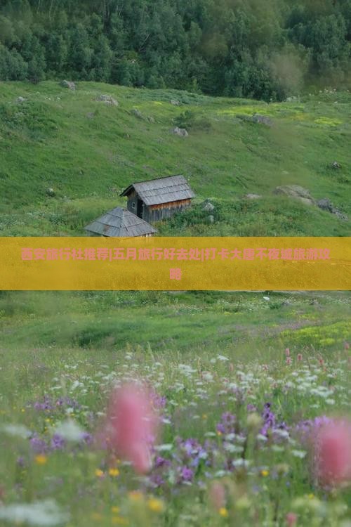西安旅行社推荐|五月旅行好去处|打卡大唐不夜城旅游攻略