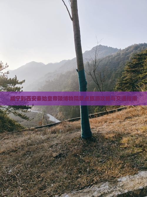 咸宁到西安秦始皇帝陵博物院景点旅游攻略与交通指南