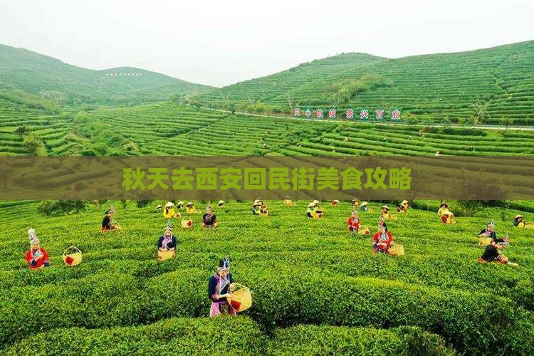 秋天去西安回民街美食攻略