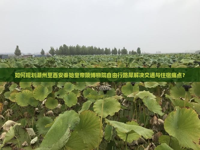 如何规划潮州至西安秦始皇帝陵博物院自由行路犀解决交通与住宿痛点？