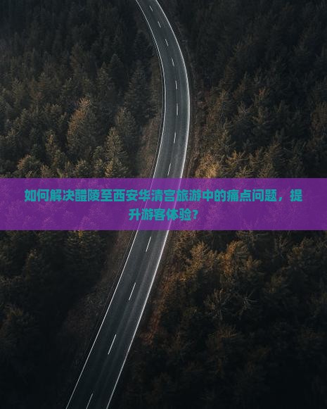 如何解决醴陵至西安华清宫旅游中的痛点问题，提升游客体验？