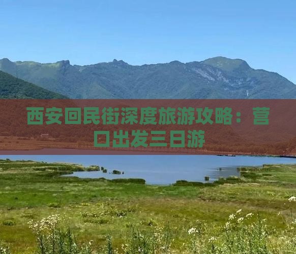 西安回民街深度旅游攻略：营口出发三日游