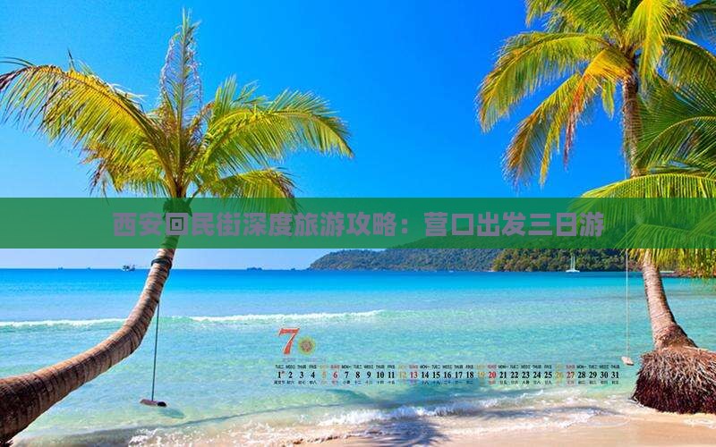 西安回民街深度旅游攻略：营口出发三日游