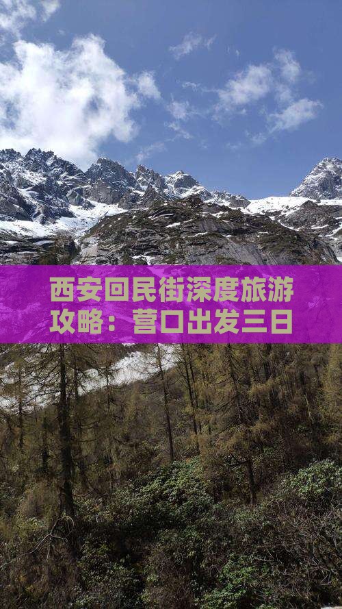 西安回民街深度旅游攻略：营口出发三日游