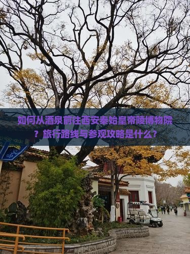 如何从酒泉前往西安秦始皇帝陵博物院？旅行路线与参观攻略是什么？