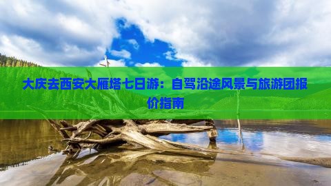 大庆去西安大雁塔七日游：自驾沿途风景与旅游团报价指南