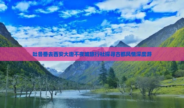 吐鲁番去西安大唐不夜城旅行社探寻古都风情深度游