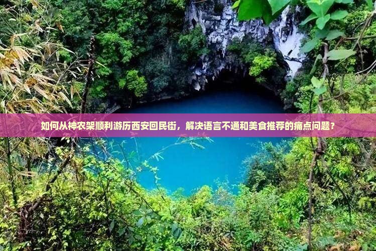 如何从神农架顺利游历西安回民街，解决语言不通和美食推荐的痛点问题？