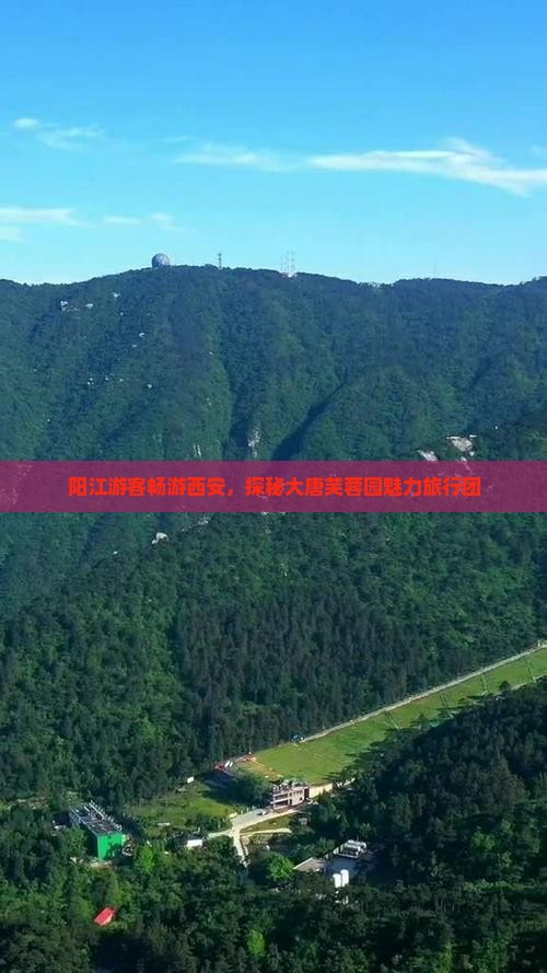 阳江游客畅游西安，探秘大唐芙蓉园魅力旅行团
