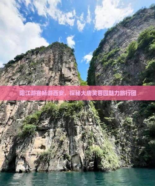 阳江游客畅游西安，探秘大唐芙蓉园魅力旅行团
