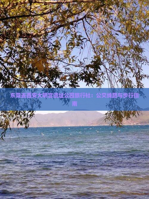 东莞去西安大明宫遗址公园旅行社：公交线路与步行指南