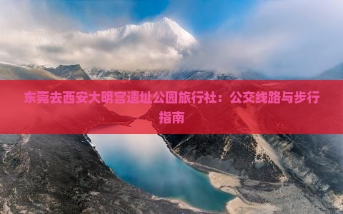 东莞去西安大明宫遗址公园旅行社：公交线路与步行指南