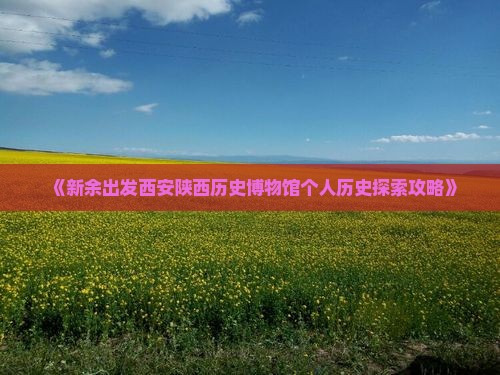 《新余出发西安陕西历史博物馆个人历史探索攻略》