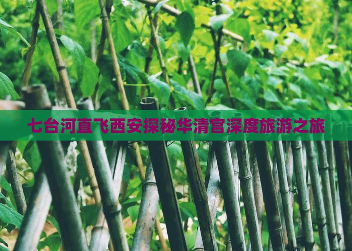 七台河直飞西安探秘华清宫深度旅游之旅