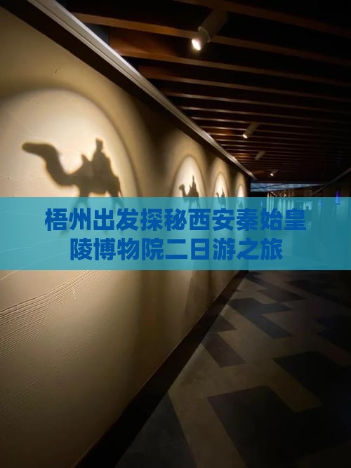 梧州出发探秘西安秦始皇陵博物院二日游之旅