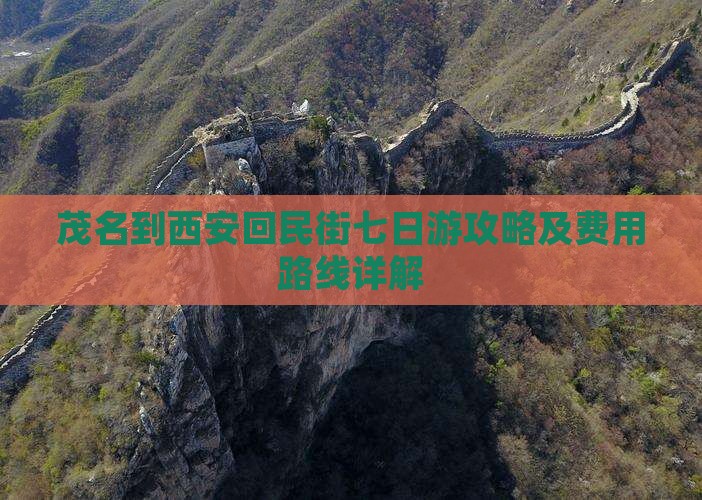 茂名到西安回民街七日游攻略及费用路线详解