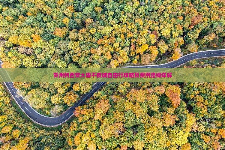 贺州到西安大唐不夜城自由行攻略及费用路线详解