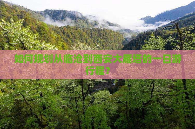 如何规划从临沧到西安大雁塔的一日游行程？