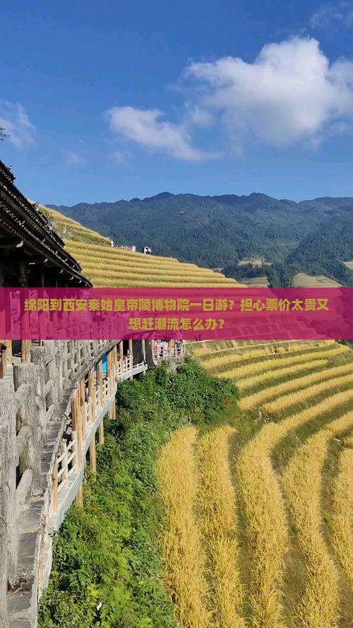 绵阳到西安秦始皇帝陵博物院一日游？担心票价太贵又想赶潮流怎么办？