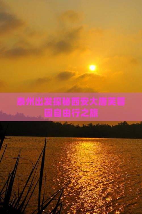 泰州出发探秘西安大唐芙蓉园自由行之旅