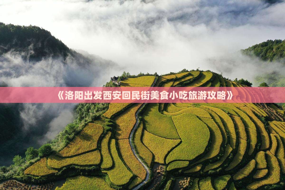 《洛阳出发西安回民街美食小吃旅游攻略》